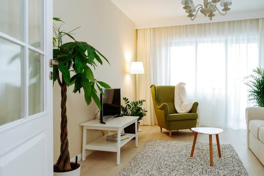 Elegant Vibes Apartment Next To Obor Market بوخارست المظهر الخارجي الصورة